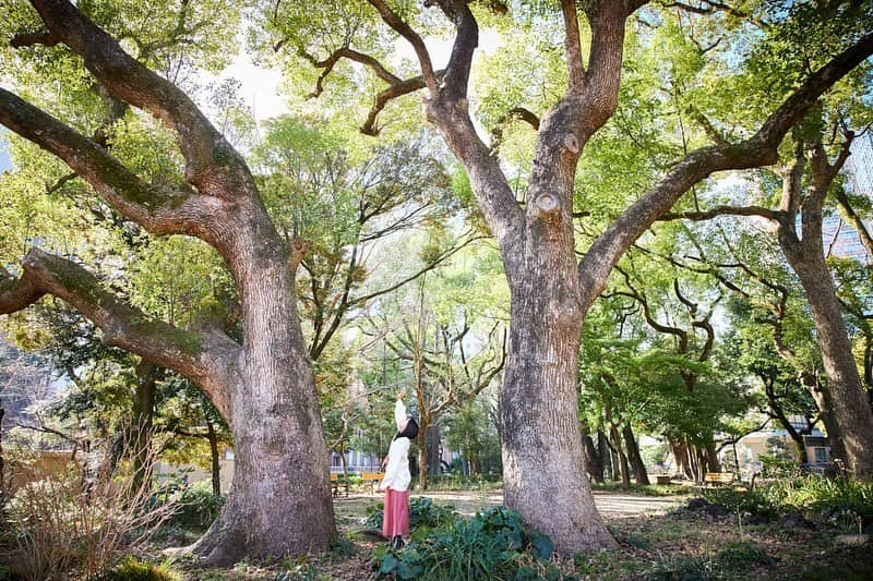 西永彩奈さんのインスタグラム写真 - (西永彩奈Instagram)「【お知らせ】 Kindle写真集📷 「東京23区少女 千代田区x西永彩奈」  完全撮り下ろし！ 前回の墨田区に続き第二弾です！ 今回は千代田区で少しお姉さんな雰囲気✨  なんとワンコインです👏💕 (kindle unlimitedの方は¥0😳)  是非GETして下さい！！ https://www.amazon.co.jp/dp/B093LR847S」4月29日 20時22分 - nishinagaayana