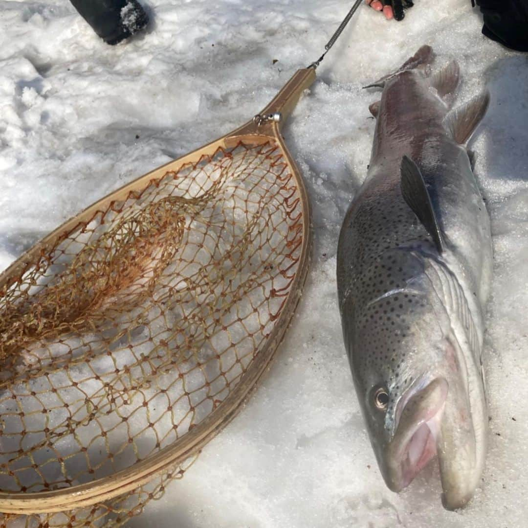 田我流さんのインスタグラム写真 - (田我流Instagram)「旭川の釣り友達　@francisco_higeila さんと山さんの導きにより、雪を掻き分け最高のロケーションの中、以前よりもサイズUPしたイトウさんに出会えました。婚姻色が綺麗な、強烈な引きのマスラオさんでした。感謝しかない。マジで人生最高だぜ。 #田我流 #イトウ#ロマンしかねー#つりとも #ブラたかし#一族一のトラウティスト」4月29日 12時22分 - dengaryu138