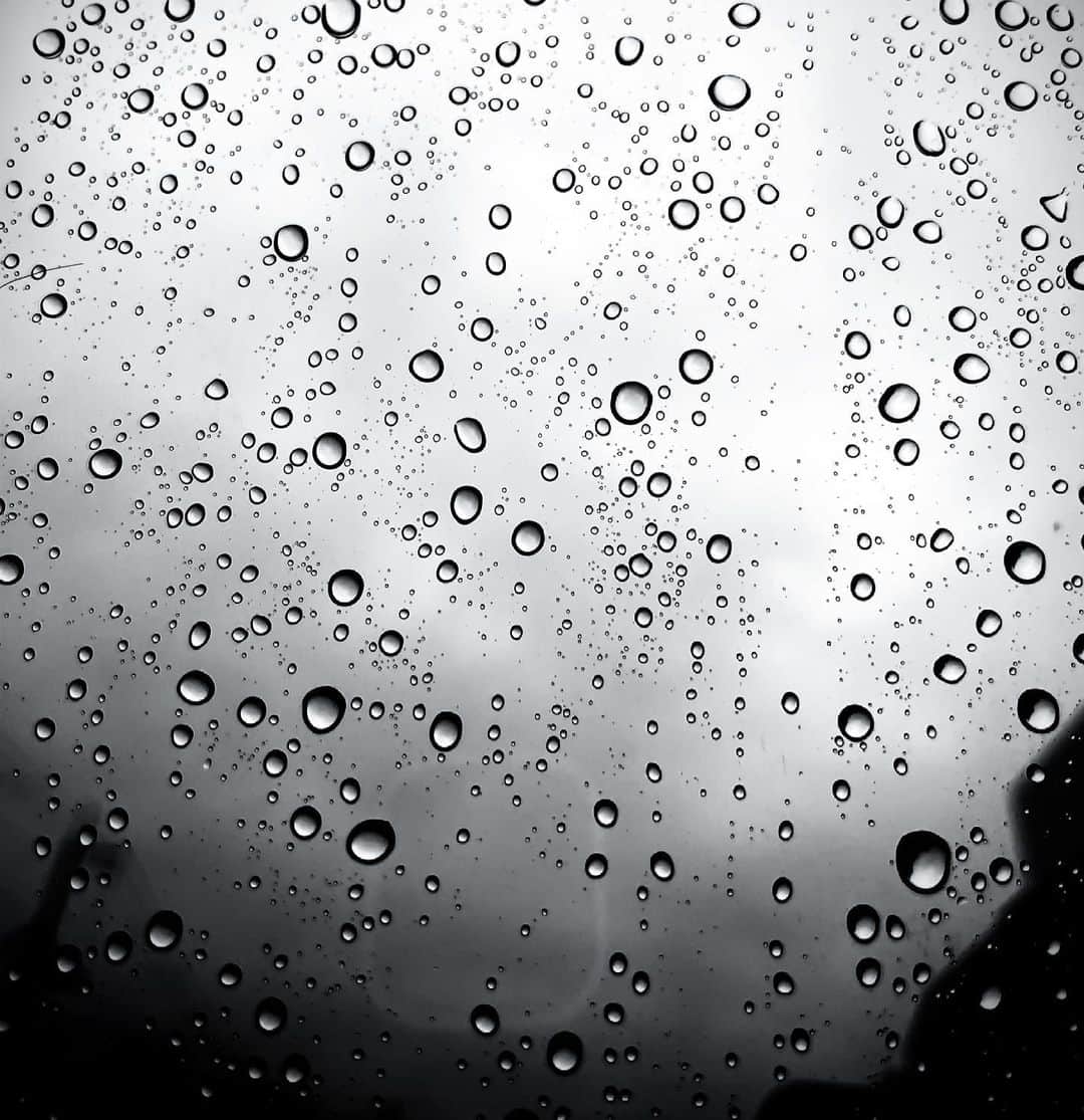 龍真咲さんのインスタグラム写真 - (龍真咲Instagram)「雨の日も良いよね☔️  家族団らん😊😊🐶  みなさんご機嫌いかがですか？🍭  #お家でブランチ #お家ワイン🍷 #カニンヘンダックス #LICHT #植物が嬉しそう🪴 #運転にはご注意を⚠️」4月29日 13時01分 - masaki_ryu