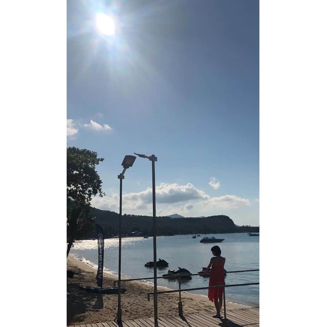 池上紗理依さんのインスタグラム写真 - (池上紗理依Instagram)「太陽が恋しい」4月29日 19時02分 - sarii_ikegami