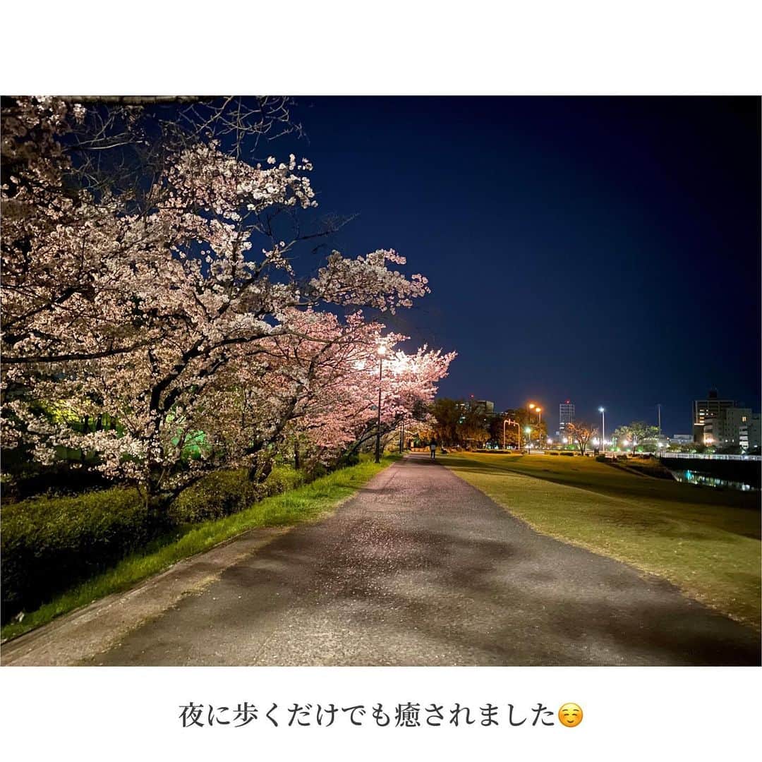 河村綾奈さんのインスタグラム写真 - (河村綾奈Instagram)「今月は色んなところにカメラを向けました。 少しまとめてインスタに(*^^*) ごぜん様クイズのネタになった写真も…🤭」4月29日 19時27分 - ayanakawa