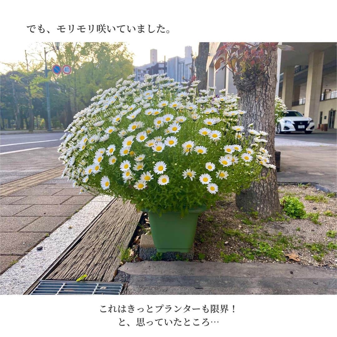 河村綾奈さんのインスタグラム写真 - (河村綾奈Instagram)「今月は色んなところにカメラを向けました。 少しまとめてインスタに(*^^*) ごぜん様クイズのネタになった写真も…🤭」4月29日 19時27分 - ayanakawa