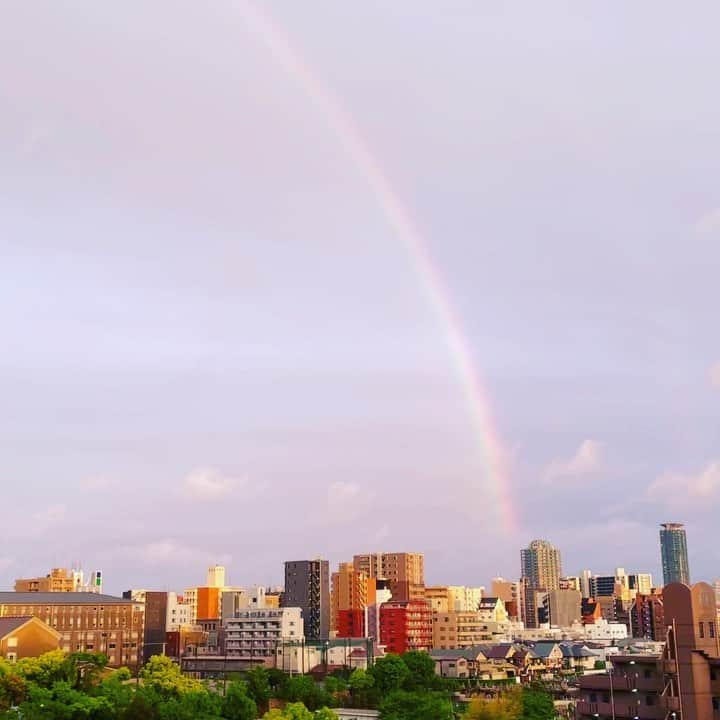 島田珠代のインスタグラム：「昨日の虹見ました？」
