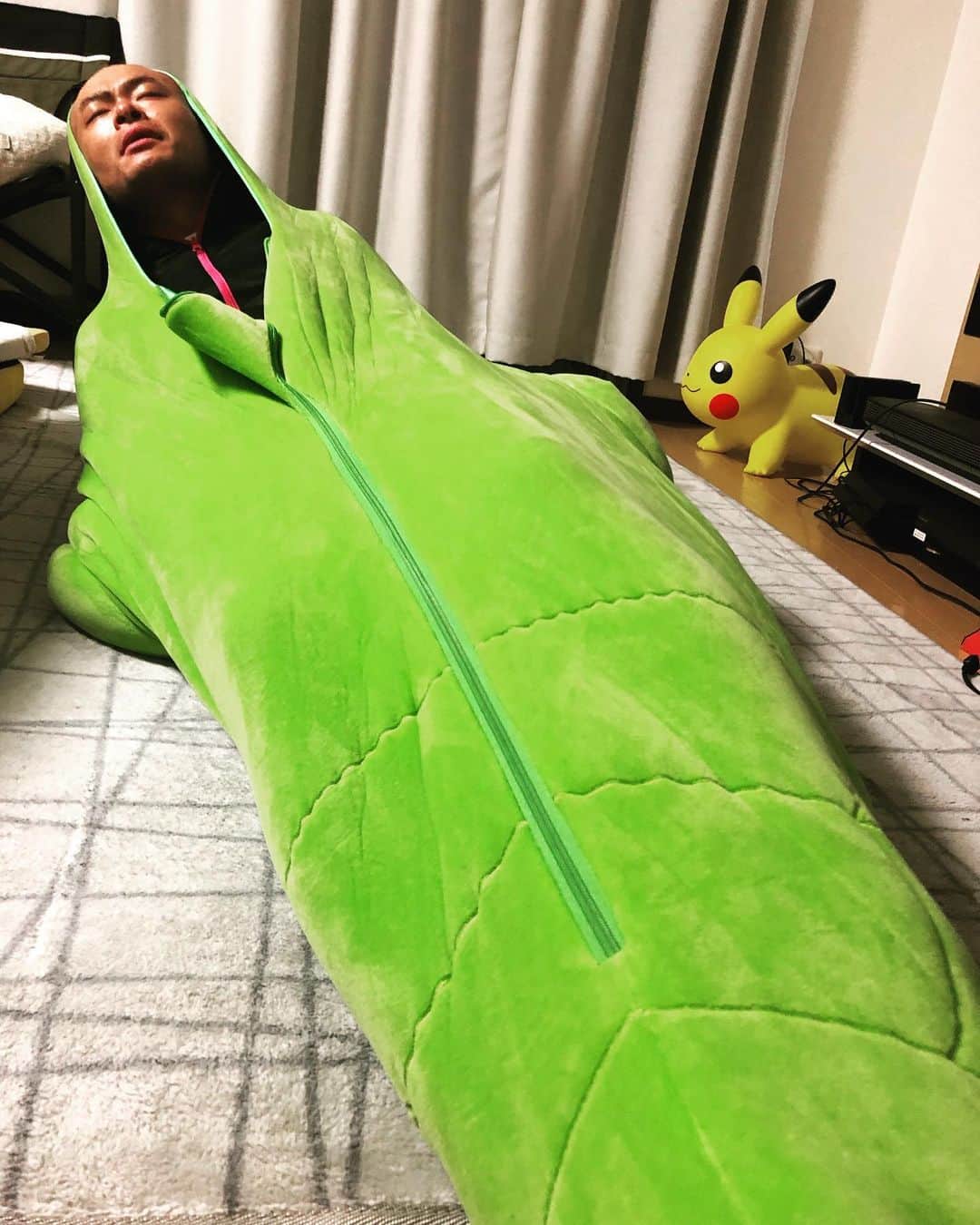 あばれる君さんのインスタグラム写真 - (あばれる君Instagram)「おはよう。トランセルが羽化するよ。」4月30日 6時29分 - abarerukun