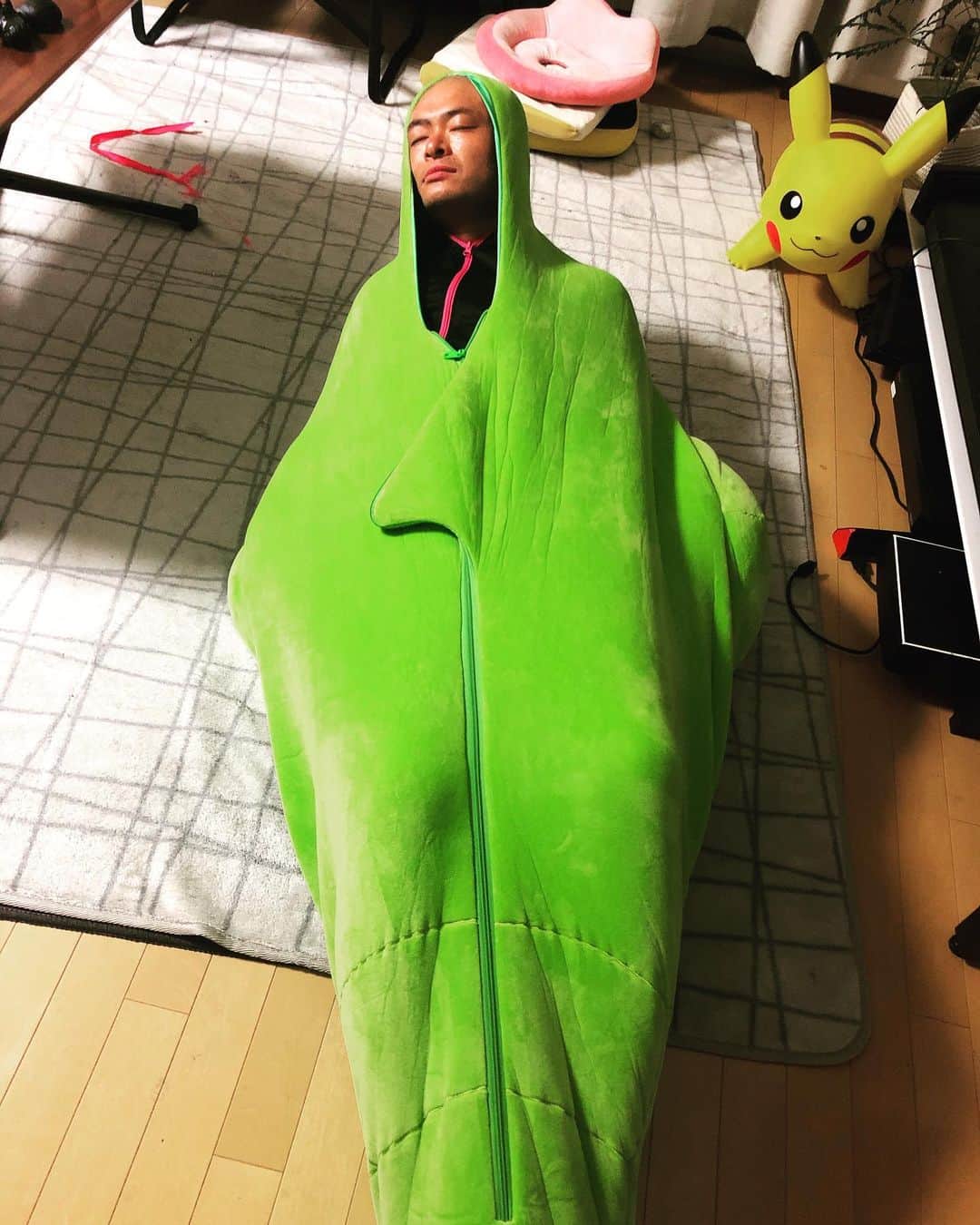 あばれる君さんのインスタグラム写真 - (あばれる君Instagram)「おはよう。トランセルが羽化するよ。」4月30日 6時29分 - abarerukun