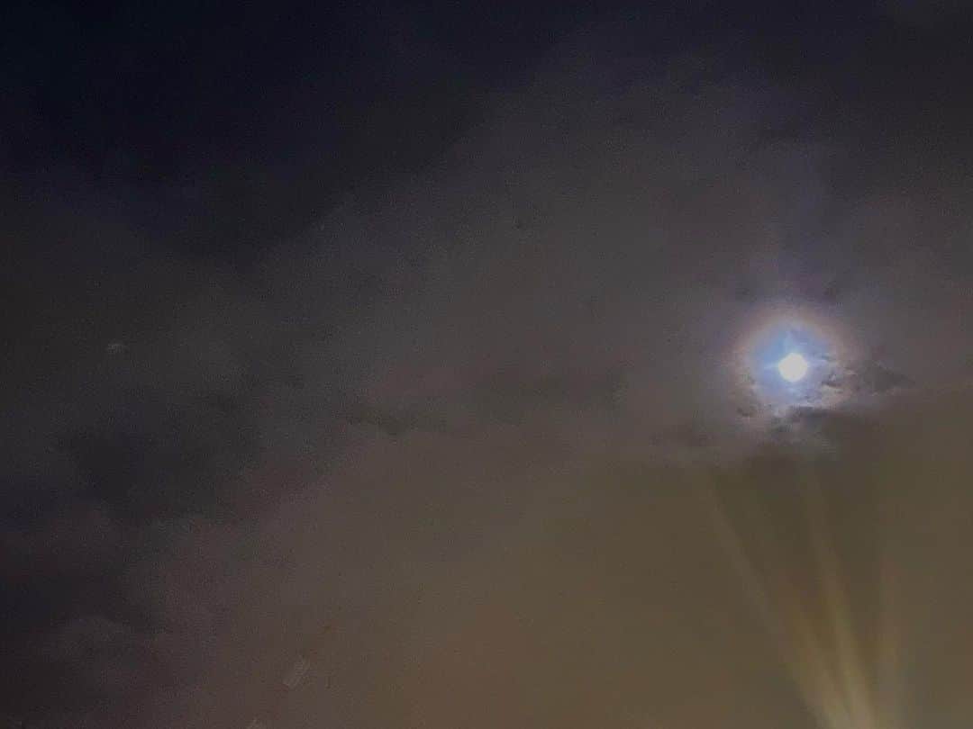 角谷暁子のインスタグラム：「先日の満月はピンクムーンというそうです🌕偶然あまりにも大きなまんまるの月を見ると何故か胸がドキドキしませんか...🐺🐺」