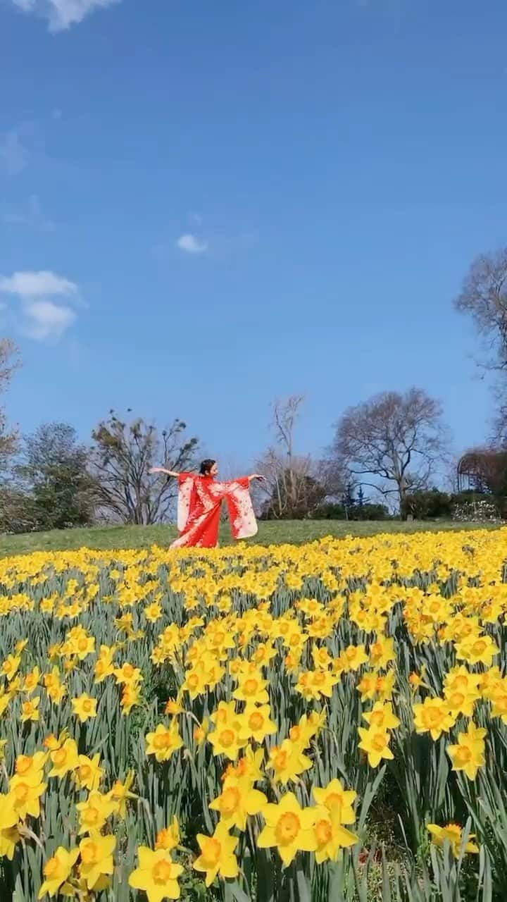 Lily Saito (齊藤莉理)のインスタグラム：「Happy International Dance Day from @japaninnashville and I ❤️  Connecting back to my roots and dancing in @cheekwood ‘s Japanese Garden made my heart extremely full 🥰 Proud to be Japanese 🇯🇵 and blessed to have the @japaninnashville community in my life! 💕」
