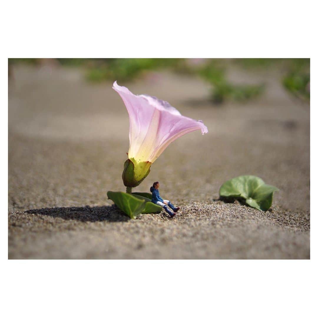 nqouのインスタグラム：「#風の谷のナウシカ #ナウシカ #nausicaa #ジブリ #ghibli  #ミニチュア #miniature #nqouminiature」