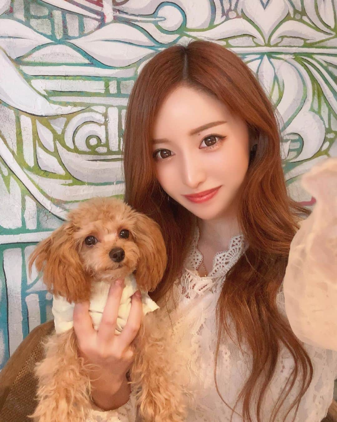 SAYAさんのインスタグラム写真 - (SAYAInstagram)「. . 愛犬のティナちゃんです🐶🤎 エサで前を向かせようとしてる手が 写ってしまた。笑 . . . #六本木 #キャバ嬢  #キャバクラ #lalah #ブラックテラス #カフェ  #愛犬 #プードル #中目黒 #ドックカフェ #tokyo #nakameguro  #dog #cafe #ootd #instagram  #instagood #instalike」4月30日 18時20分 - sayapi0110