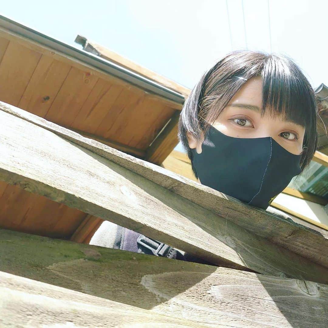 かほなんのインスタグラム：「その日、人類は思い出した…… (進撃の巨人風)  さて！明日は朝のニュース番組にスタジオ生出演です☺️  5/1(土) あさ6:30〜 ドデスカ！ドようびデス。(メ〜テレ)  東海地方の皆ー！ 早起きして、見てくれたら嬉しい〜！！✨ コメンテーターなので、最初から最後までいます、わお！☺️📺✨  も〜〜寝るね〜〜〜😴😴 楽しみやなぁ☺️気合い入れてこっ！  朝から新鮮な情報と、かほなんを、是非ー！(？)  #ドデスカ #ドデスカドようびデス  #さばいどる #かほなん」