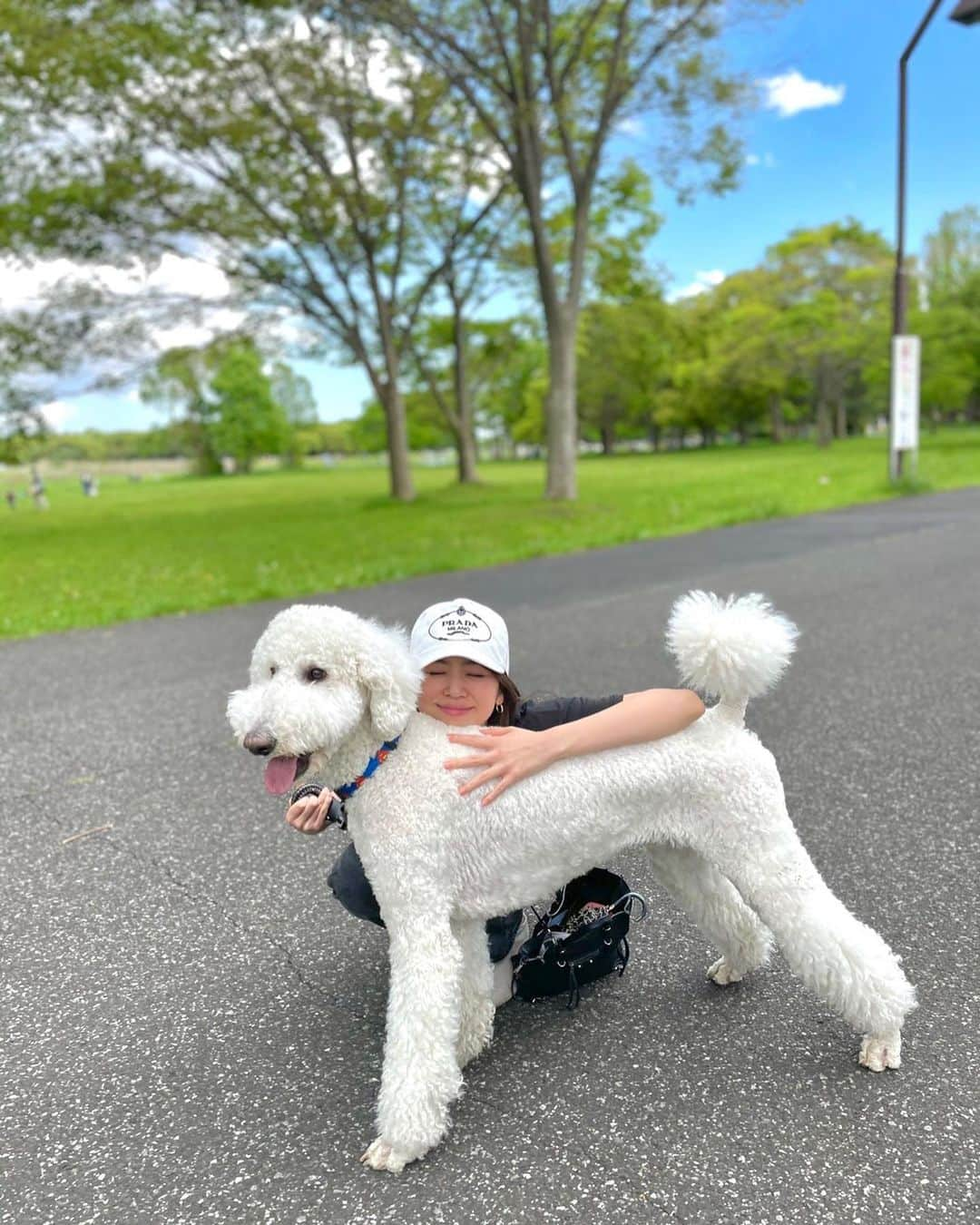 加田穂乃華のインスタグラム：「すごく気持ちいい大好きな季節☺︎ 少し前に親友家族とお散歩に行った日🍃 癒された〜👦🏻&🐩💕  最近 @axes.official さんでgetしたプラダの帽子をかぶって😌 つばが大きめなのでしっかり日焼け対策もできるし、 これ被るだけでお洒落感がでるのでありがたい！！ この日はボーイッシュなコーディネートに👖  おすすめのサイトなので気になる方は是非✨  (写真のときだけマスク外しました) #axes #アクセス #prada #cap #帽子 #帽子コーデ #ootd #axes公式アンバサダー #standardpoodle」