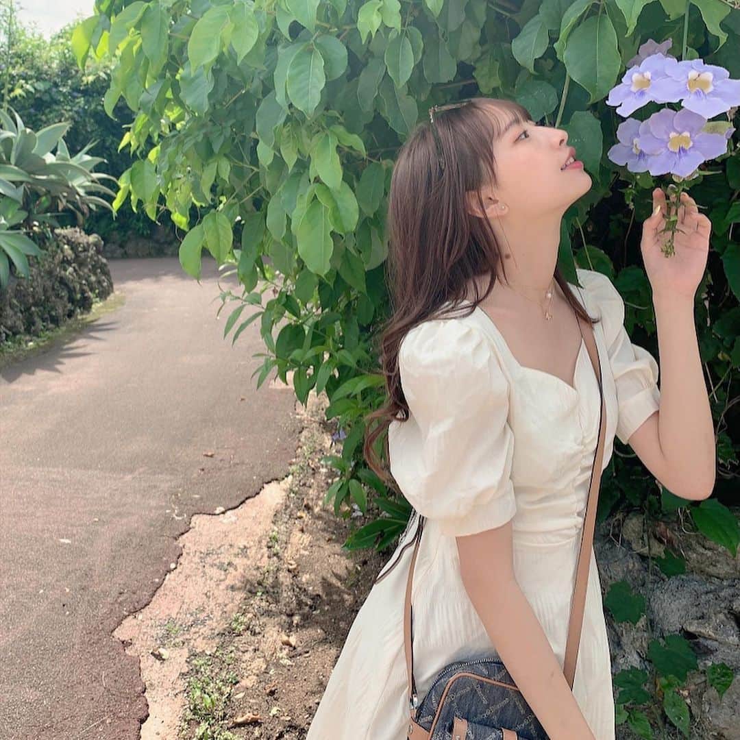 藤川らるむのグルメインスタ