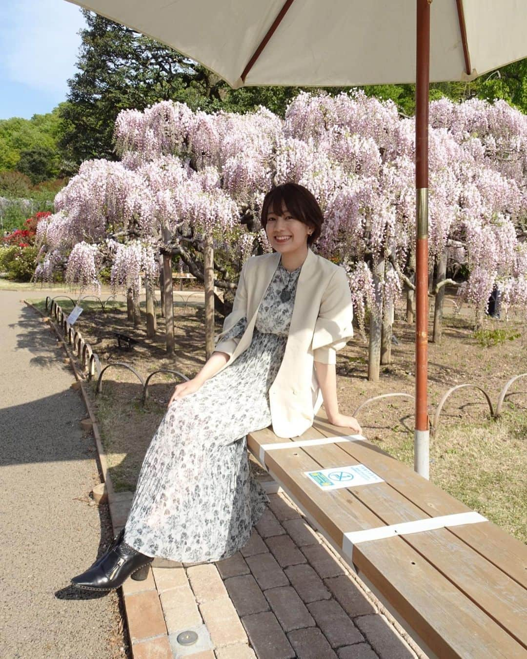 佐藤美希さんのインスタグラム写真 - (佐藤美希Instagram)「明日5/1(土)8:30〜とちぎテレビ「魅せます！とちブラ」放送です！﻿ あしかがフラワーパークに行ってきました！！！﻿ もう何度も行っている場所♪﻿ ぜひご覧ください✨  今が見頃の大藤！ ぜひ訪れる際は感染予防対策をしっかりとして楽しんでください💕 パーク内も混雑しないような対策をしっかりされていました！ゆったりと楽しんでいただけたらなと思います😊✨  衣装 ワンピース→ @randa_pic ﻿ ﻿ #大藤﻿ #あしかがフラワーパーク  #栃木 #栃木観光 #足利 #randa #とちブラ #とちぎテレビ #とちテレ #instagram」4月30日 20時49分 - satomiki0626