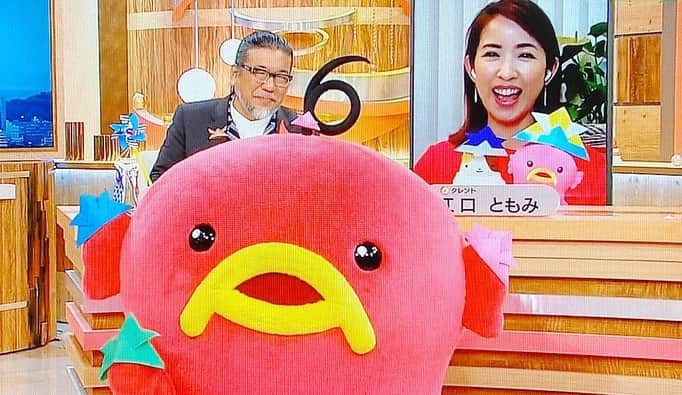 江口ともみさんのインスタグラム写真 - (江口ともみInstagram)「キャストリモートに逆戻り‼️  今日のエビシーのお友達は にゃん太😸  俵太さんがこどもの日モードだったので、今日は仕事休みになったとおさんが急遽にゃん太の為にも兜を持ってきてくれました😂  で、途中からえびぞうにも兜✨17時台のお天気コーナーではエビシーも沢山兜を着けて登場🎏　来年は大きな兜作って貰えるといいね😊  そして最後はCM中エビシーがスタジオに入って来た時カメラにご挨拶に来てくれてるところです😆  #fumofumosan #フモフモさん#にゃん太#abcキャスト #エビシー#こどもの日 #鯉のぼり🎏#兜#カブト」4月30日 21時22分 - tomomin.eguchi