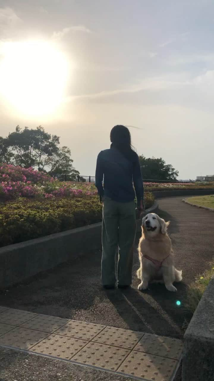 高橋ひとみのインスタグラム