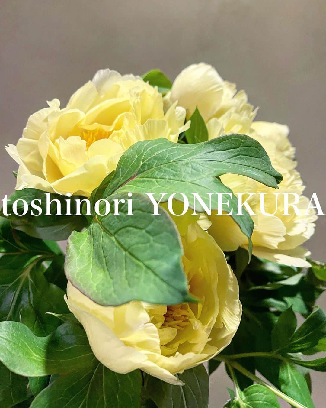 米倉利紀さんのインスタグラム写真 - (米倉利紀Instagram)「flowers is this week #男花 #花のある生活」5月1日 19時00分 - toshi_yonekura