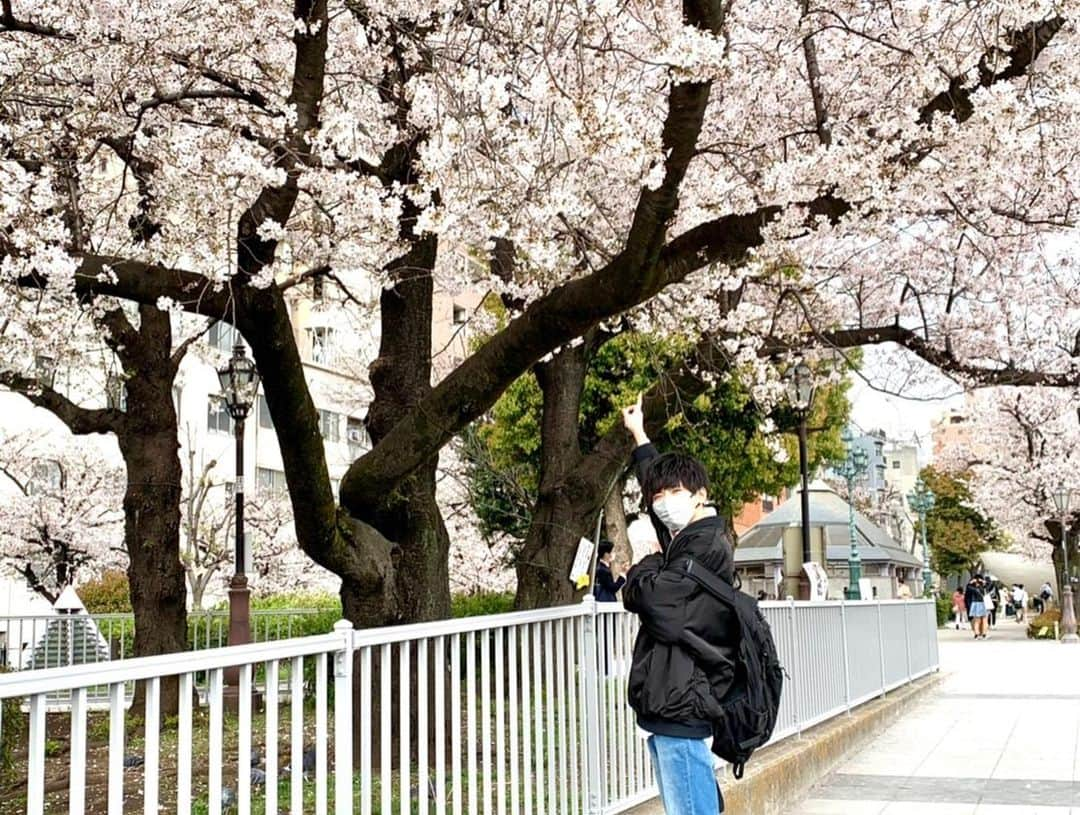 木村魁希さんのインスタグラム写真 - (木村魁希Instagram)「bokula. 『足りない二人』 https://youtu.be/3v81teEHDSI  bokula. さんの「足りない二人」のMVに出演させて頂きました！  こちら撮影風景とオフショットです^_^  YouTubeにて、MVが公開されていますので、是非確認してみて下さい✅  撮影日、桜が満開だったので📸 こちらおまけです。笑  #bokula. #足りない二人 #MV #撮影風景 #桜」5月1日 19時32分 - kimurakaiki