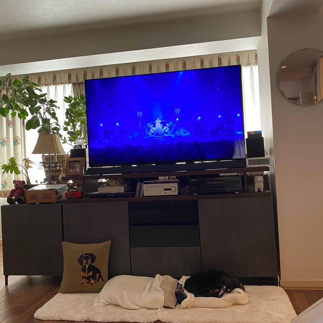岩崎宏美さんのインスタグラム写真 - (岩崎宏美Instagram)「6時半起床❗️  土曜日はゴミ出し そしてお天気なのでライスのお散歩  先日福井県でのコンサート映像観ながら、1人反省会してます。 今日はのんびりオフを過ごします。 #愛犬ライス #ハートピア春江」5月1日 11時28分 - hiromiiwasaki_official
