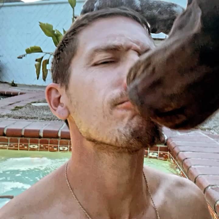 のインスタグラム：「I guess I have become that dog owner. At least I don’t use a harness! 🐶 I’ll be your Huckleberry. @texbirddog」