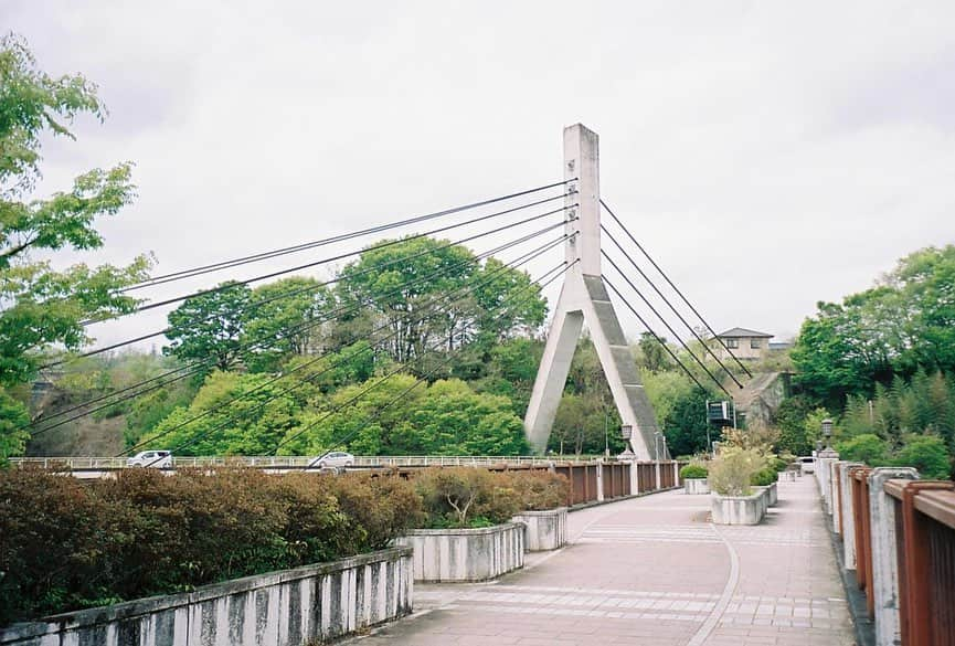 小田飛鳥のインスタグラム：「#旧秩父橋 #秩父橋 #美の山公園 #八重桜 #武甲山 #秩父札所 #観音院 #はなもも #秩父神社 #武甲酒造 #武甲正宗 #フィルムカメラ #filmphotography #秩父 #chichibu」