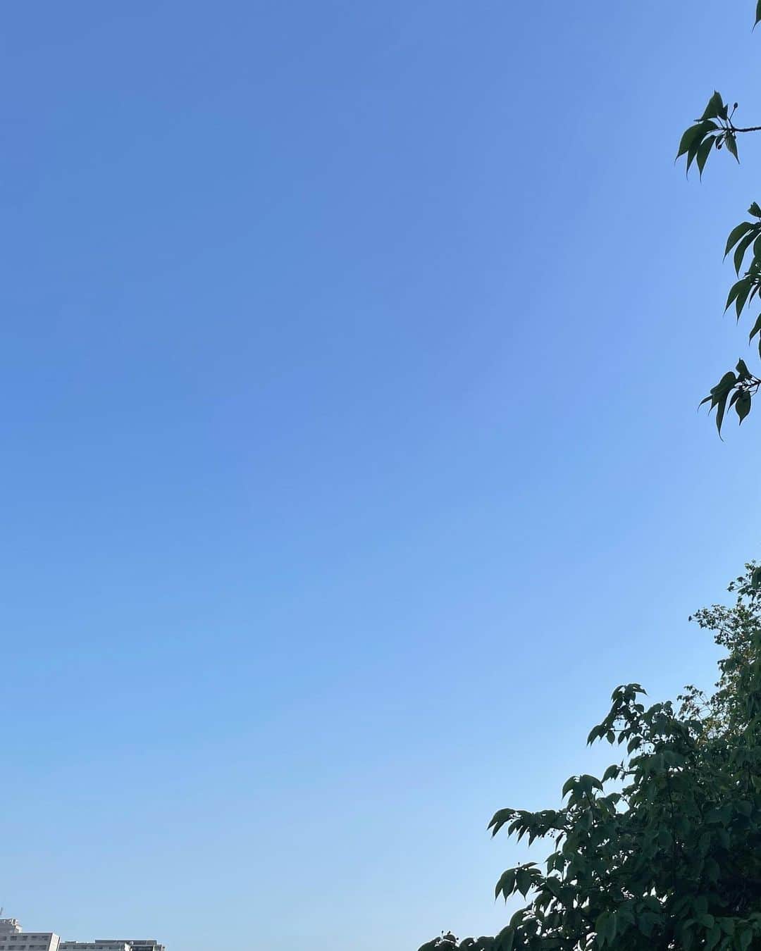 福住仁嶺さんのインスタグラム写真 - (福住仁嶺Instagram)「昨日はGTに向けてコンディションと気持ちを整えるために外にランニング。ここまで青空が広がってると気持ちいいですね。  今日も家族全員でステイホームしてました☺️  いい休日✨」5月1日 17時46分 - nirei_fukuzumi