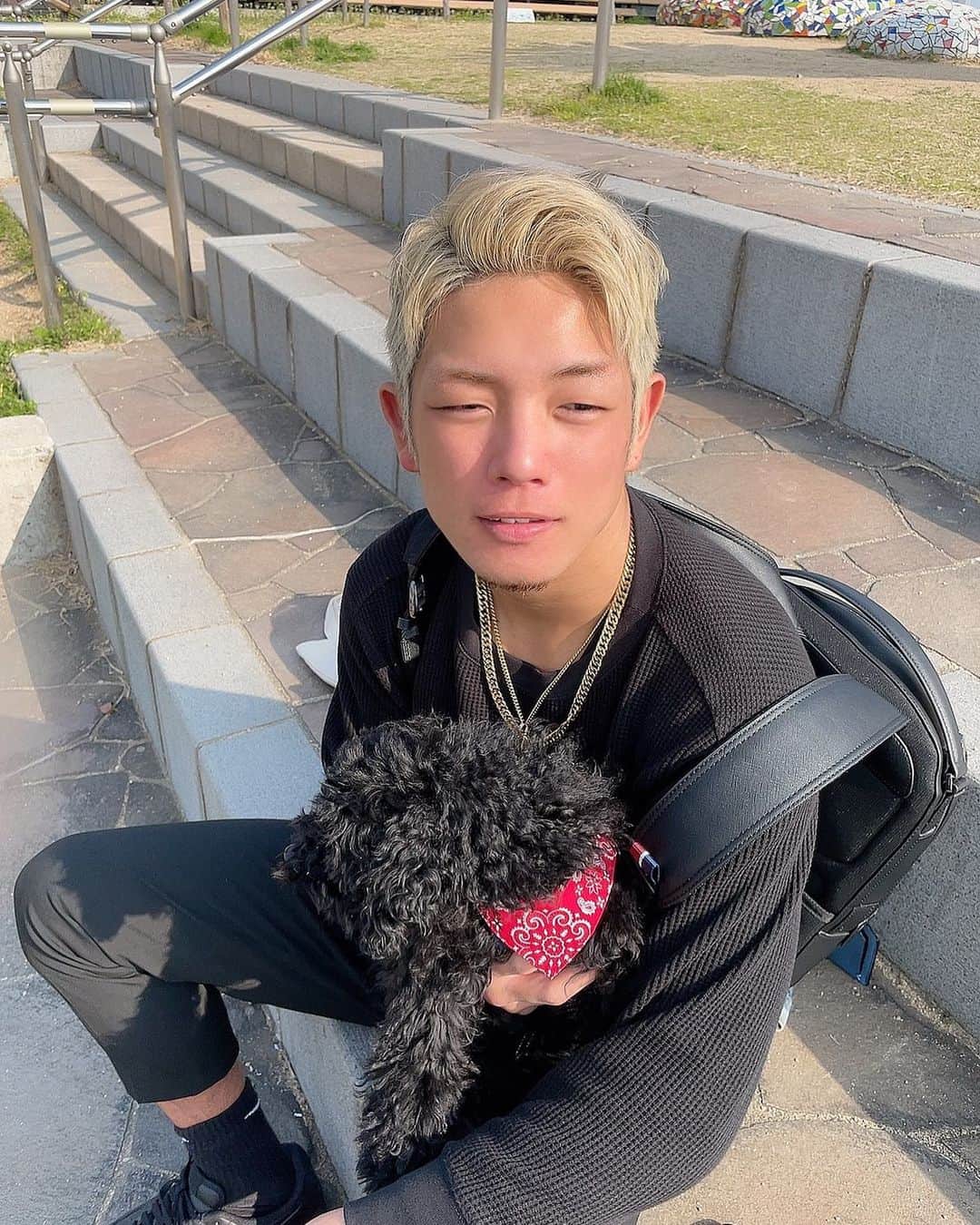 のインスタグラム：「おはぎとお出かけ行きたいなぁ🐕‍🦺  #格闘家 #格闘技 #ボクシング #ムエタイ  #キックボクシング #muaythai  #kickboxing  #boxing  #workout  #喧嘩自慢  #弘輝  #k1wgp」