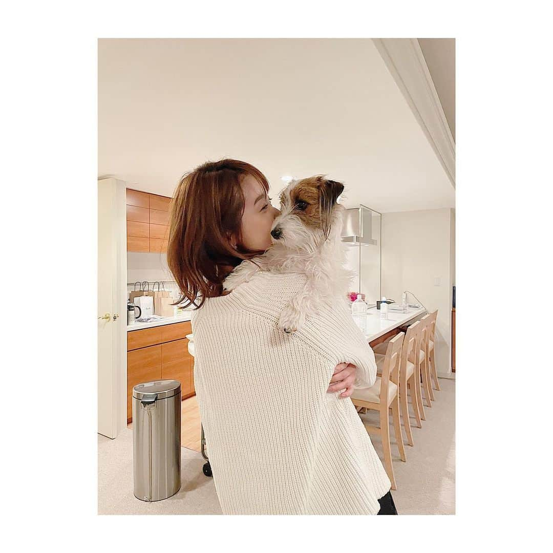 良原安美さんのインスタグラム写真 - (良原安美Instagram)「🐶﻿ ﻿ 「あみちゃん、何でそんなに﻿ ボクのにおいをクンクン嗅ぐの？？」﻿ ﻿ の図。﻿ ﻿ ﻿ #いつかの写真﻿ #大好きなご夫婦のわんこ #太陽みたいなにおいがする🌞﻿ #おそらく若干引かれてる﻿ #それでもいい」5月1日 20時18分 - yoshiharaami