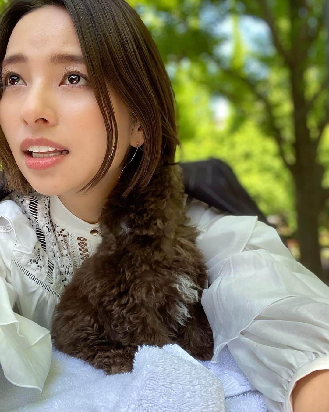 水崎綾女さんのインスタグラム写真 - (水崎綾女Instagram)「耳噛まれる… 歯がかゆいんだね。👅 #犬 #🐶 #いぬ #dog #お散歩 #お天気 #晴れ」5月1日 20時34分 - misakiayame