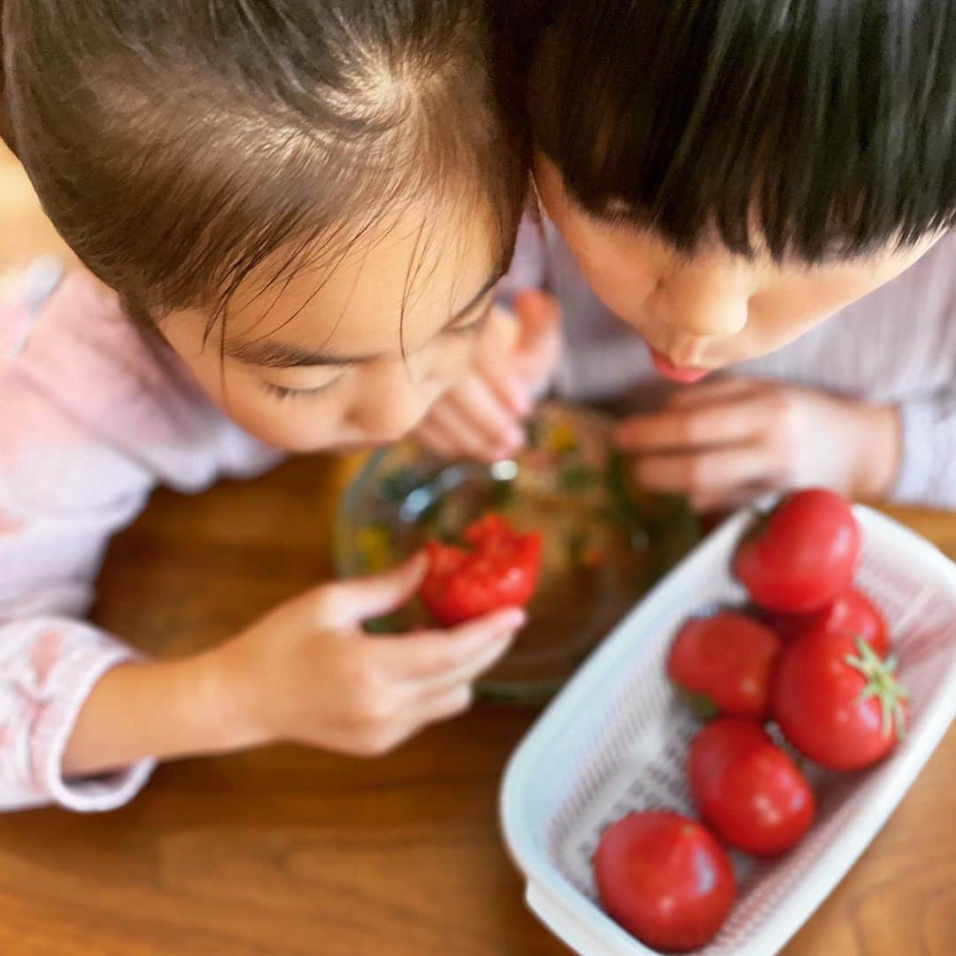 西山茉希さんのインスタグラム写真 - (西山茉希Instagram)「トマトしか勝たん。  #リコピンズ #🍅🍅🍅  トマトは食べるモノより 捧げるモノとなりました。」5月1日 21時59分 - maki.nshiyama50