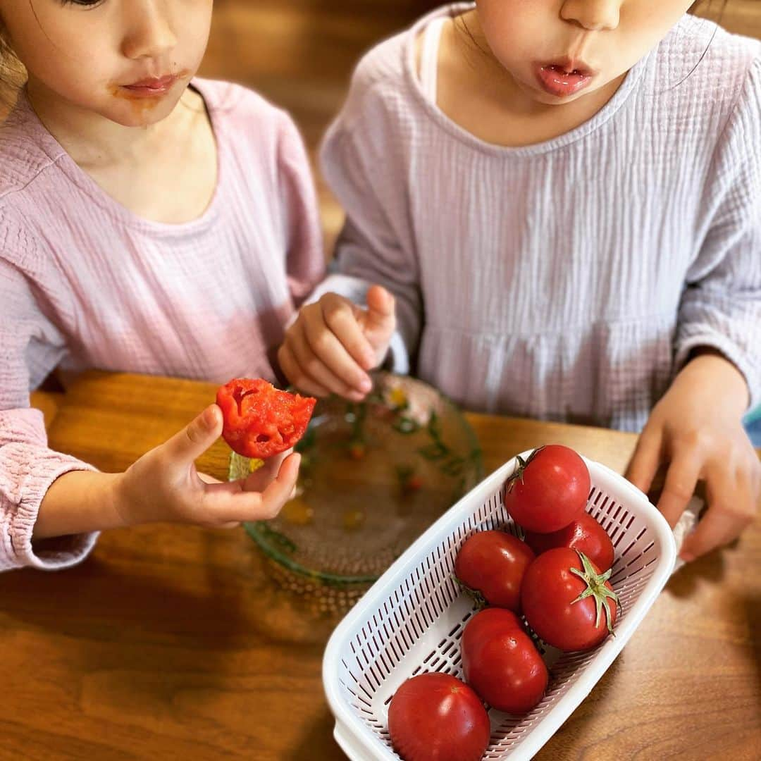 西山茉希さんのインスタグラム写真 - (西山茉希Instagram)「トマトしか勝たん。  #リコピンズ #🍅🍅🍅  トマトは食べるモノより 捧げるモノとなりました。」5月1日 21時59分 - maki.nshiyama50