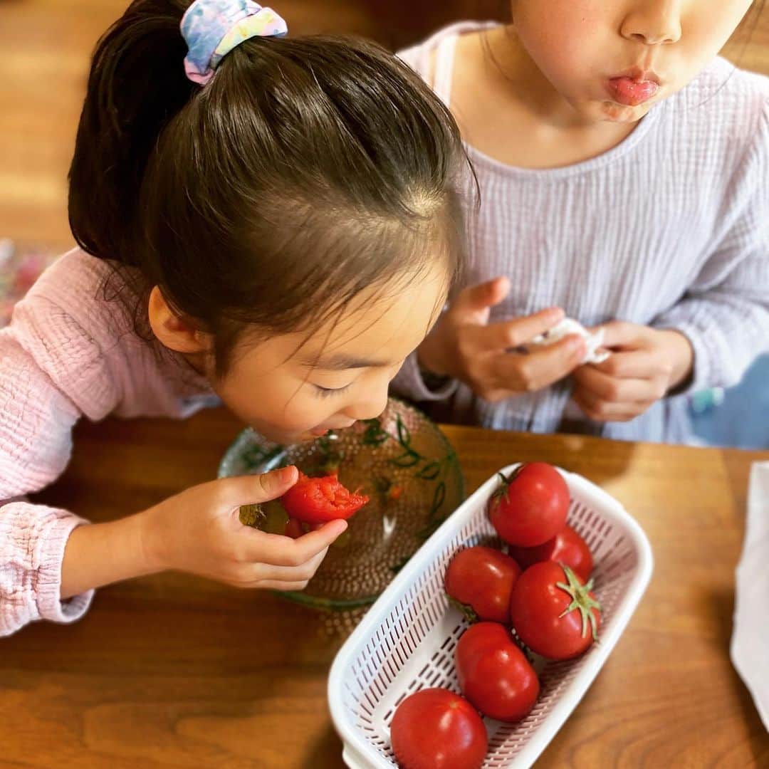 西山茉希さんのインスタグラム写真 - (西山茉希Instagram)「トマトしか勝たん。  #リコピンズ #🍅🍅🍅  トマトは食べるモノより 捧げるモノとなりました。」5月1日 21時59分 - maki.nshiyama50