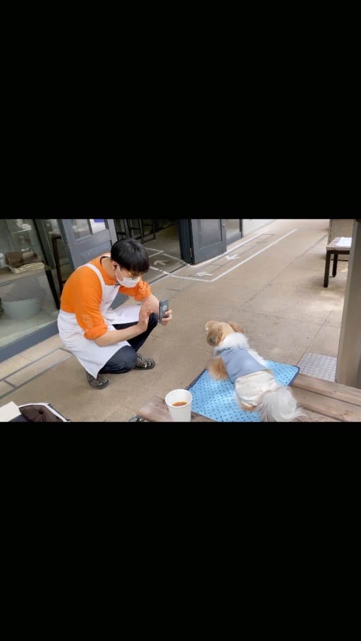 水嶋はちのインスタグラム：「🐶😎いおりくんとグラサントーク」