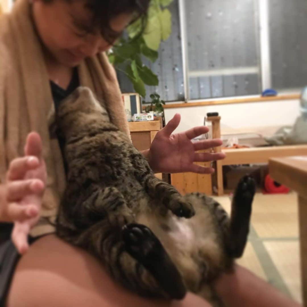 makicocomoのインスタグラム：「ドリル、今日で３歳です。 大きくなったよ✨ モリモリ食べて、たっぷり甘える♡ これからも元気いっぱいでいてね。  これは惇郎の吐息で固まる芸を習得中😂」