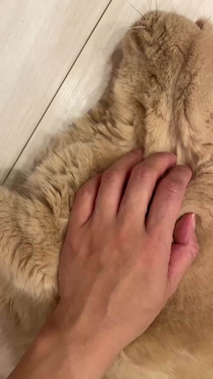 濱中鮎子のインスタグラム