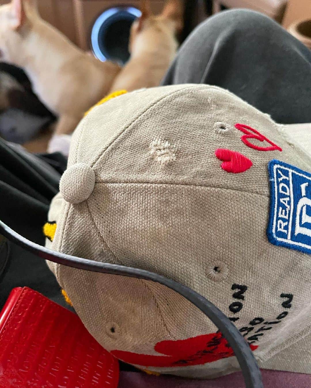 のインスタグラム：「I’m back💪❤️」