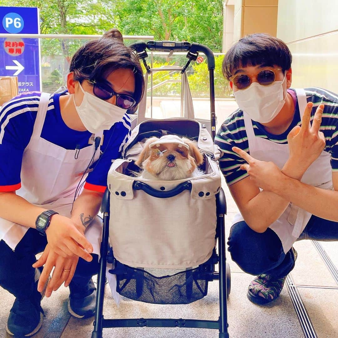 水嶋はちのインスタグラム：「Enjoy life! 😎🐶😎 * ボクはこの場所にいるとカラダもココロもすごく温まって心地のいい時間を感じます🐶🍀🍀 * 😎いおさん、🐶ボク、😎いおりくん ボクたちの共通点は、 グラサンと毎日を楽しみ、自分らしさを大切にするところかな😎🐶😎🍀 * * #はち #HACHI #シーズー大好き部 #撮影の裏側はstoriesで🐶」