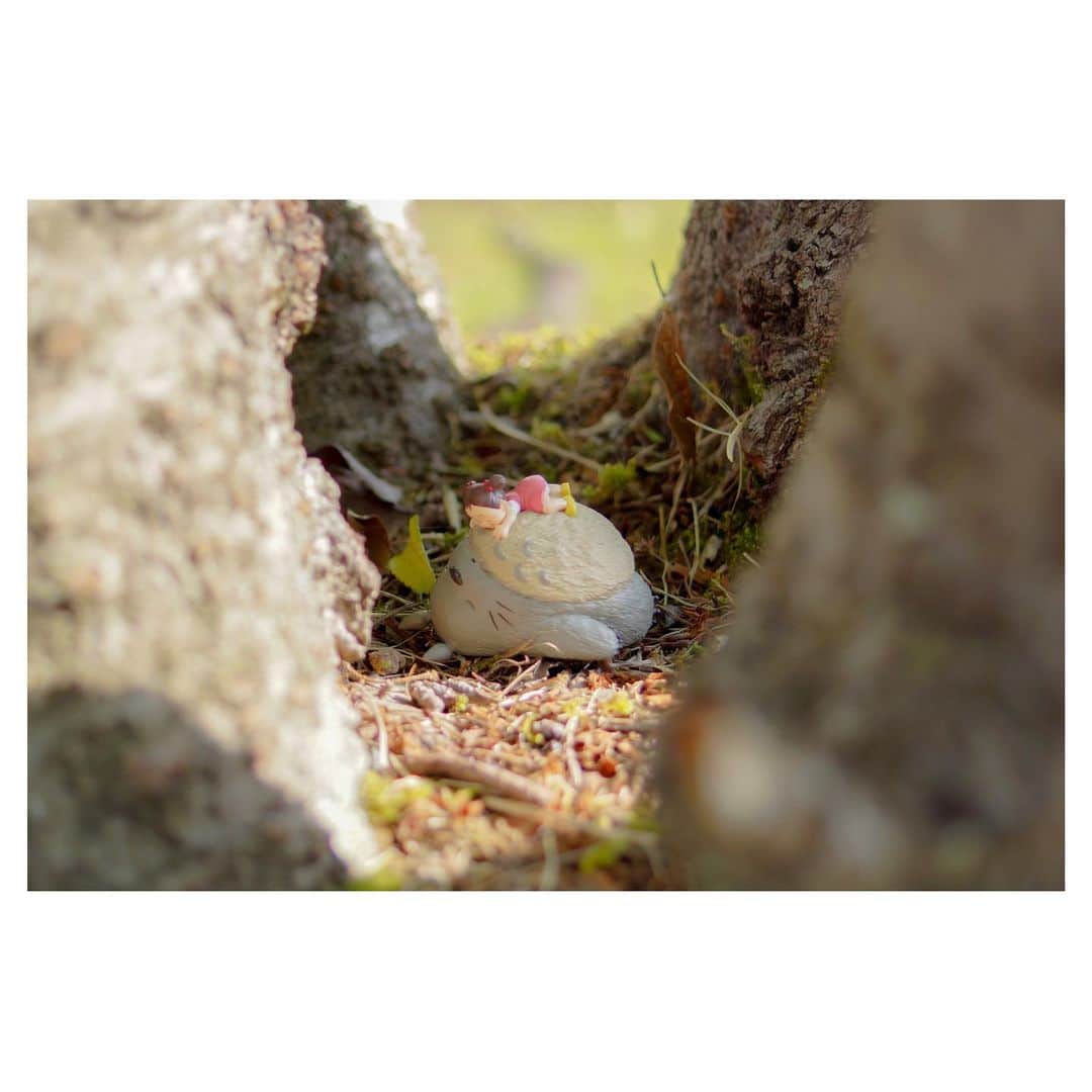 nqouのインスタグラム：「#となりのトトロ #トトロ #めい #めいちゃん #totoro #ジブリ #ghibli #nqouminiature」