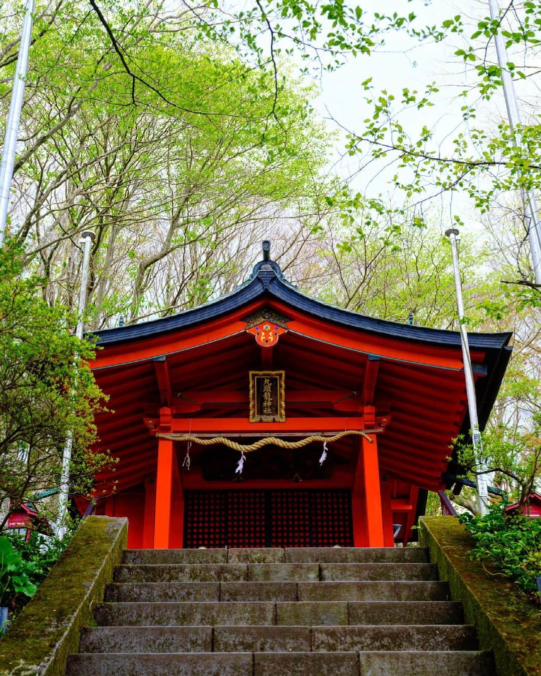 SHOCK EYEさんのインスタグラム写真 - (SHOCK EYEInstagram)「箱根最強のパワースポット、九頭龍神社⛩ 静かな芦ノ湖の湖畔は、本当に神秘的✨🙏 芸能の中でも崇敬してる人が本当に多い場所。  Kuzuryu Shrine , the most powerful power spot in Hakone⛩  The quiet lakeside of Lake Ashinoko is truly mystical✨🙏  This place is revered by many celebrities.  #九頭龍神社 #神社 #hakone #fujifilm #gfx100s #hakoneshrine #kuzuryuu #shrine #beautifuldestinations #earthfocus #earthoffcial #earthpix #thegreatplanet #discoverearth #fantastic_earth #awesome_earthpix #roamtheplanet #ourplanetdaily #lifeofadventure #livingonearth #theglobewanderer #visualambassadors #stayandwander #awesome_photographers #IamATraveler #wonderful_places #designboom #voyaged #artofvisuals」5月2日 11時49分 - shockeye_official