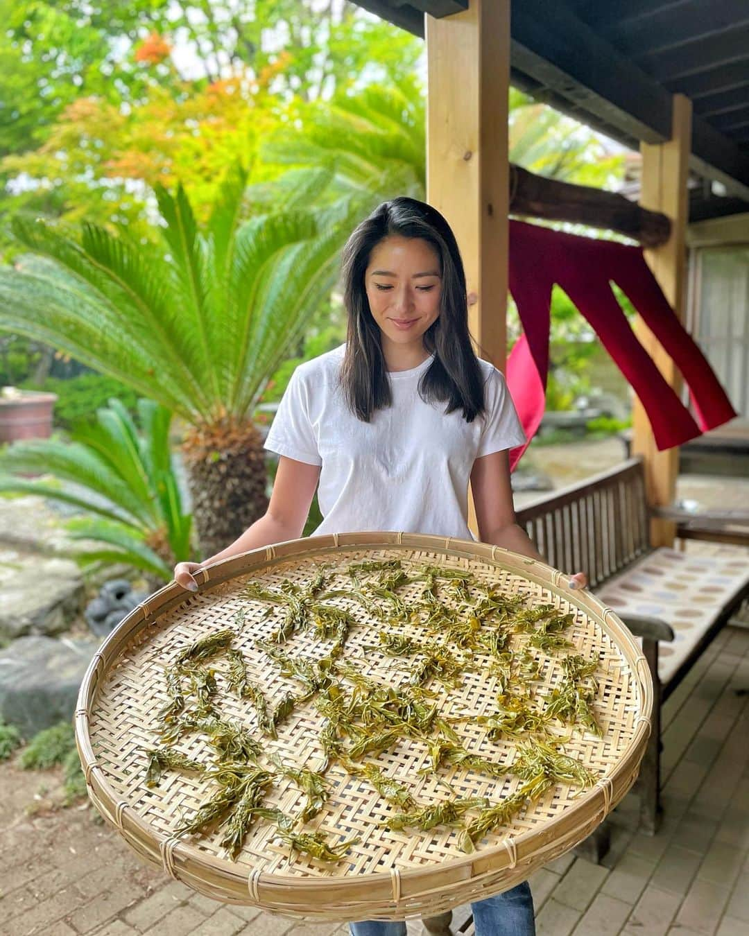 福田萌子さんのインスタグラム写真 - (福田萌子Instagram)「Homemade green tea 🍵  お庭の茶畑の新芽を摘んで、蒸して、揉んで、干したら、自家製1番茶の完成です🏡🔆新芽の柔らかさを感じながら上3枚の葉っぱを摘む作業は【赤ちゃんの芽を採る】という気持ちを持って感謝をしながら丁寧に😌🤲🏻♥️ 蒸すとお部屋いっぱいに広がる新緑の香り🌱✨ 手揉みをするとその香りが両手に閉じ込められて天然のフレグランスを身に付けている気分😊  大地の恵みに感謝して、美味しく、大切に、いただきます✨  #greentea #homemadegreentea #新芽 #茶摘み #福茶園」5月2日 18時48分 - moekofukuda