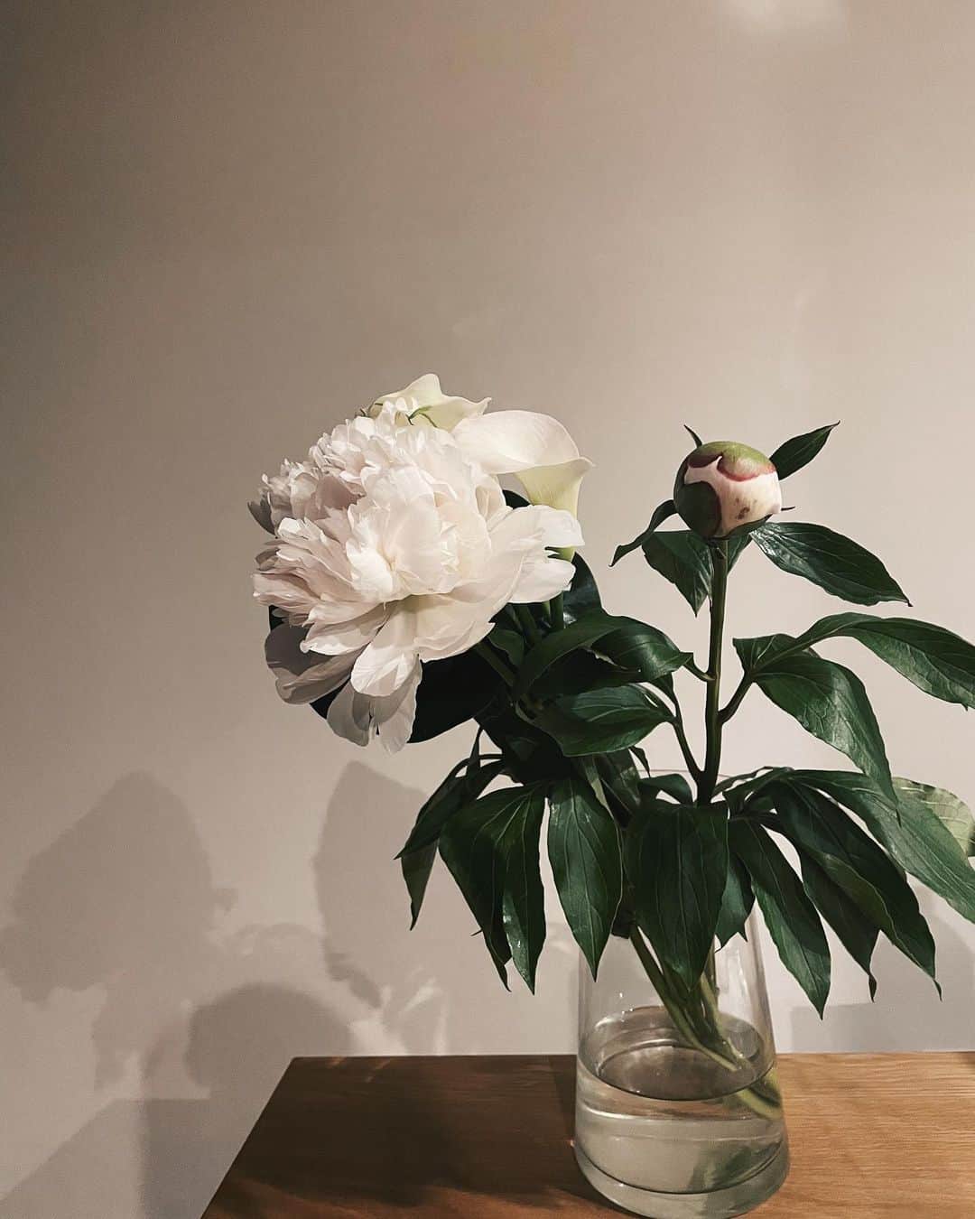 わちみなみのインスタグラム：「綺麗にお花がひらいてます。﻿ ぶわんと！﻿ ﻿ 5月は芍薬ですね☺︎﻿ 一緒にあわせてもらった葉っぱが﻿ 梅雨なダルなかんじで暗いので﻿ 夜もかっこいいです👽﻿  気圧にやられていて身体がだるかったので @zarahabeauty で背中とお腹のマッサージ しっかりお願いしました。本当に癒しのサロン。  スマホいじりながらだけどお風呂でのんびりしてます。 みんなも休養してね☺︎ ﻿ #芍薬　#5月　﻿ 気圧にやられるこのごろ。」