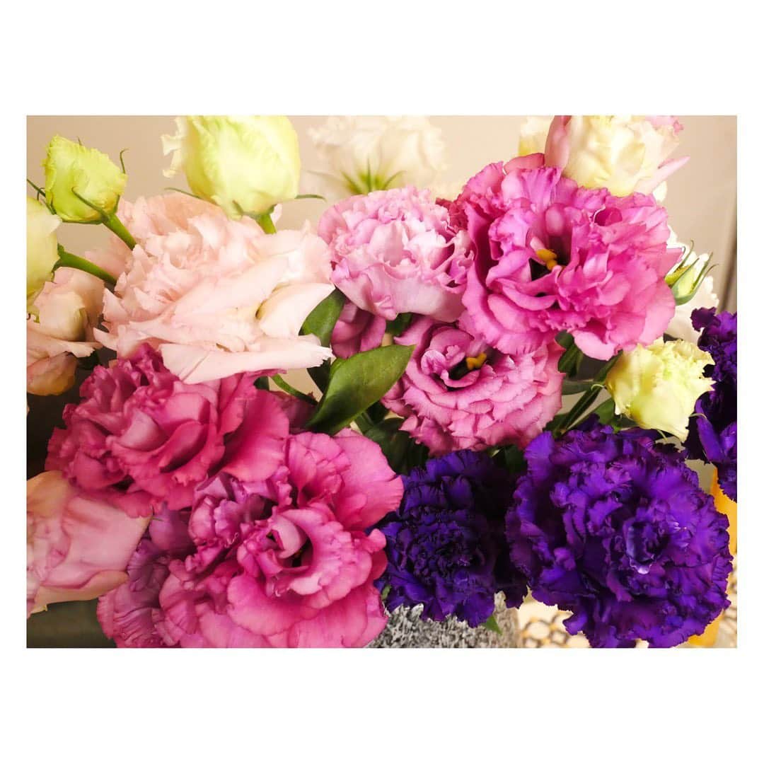 長野美郷さんのインスタグラム写真 - (長野美郷Instagram)「3週間以上 お部屋を彩ってくれていたトルコキキョウが、 ついに最後の一本に。  もともと花もちのいい種類ですが 手入れをして 1か月近くも咲いててくれると とっても嬉しいし、愛着が湧きます🥺  長い間ありがとう😊💕  #花のある暮らし  #花好き #トルコキキョウ」5月2日 21時20分 - misato_nagano_1127
