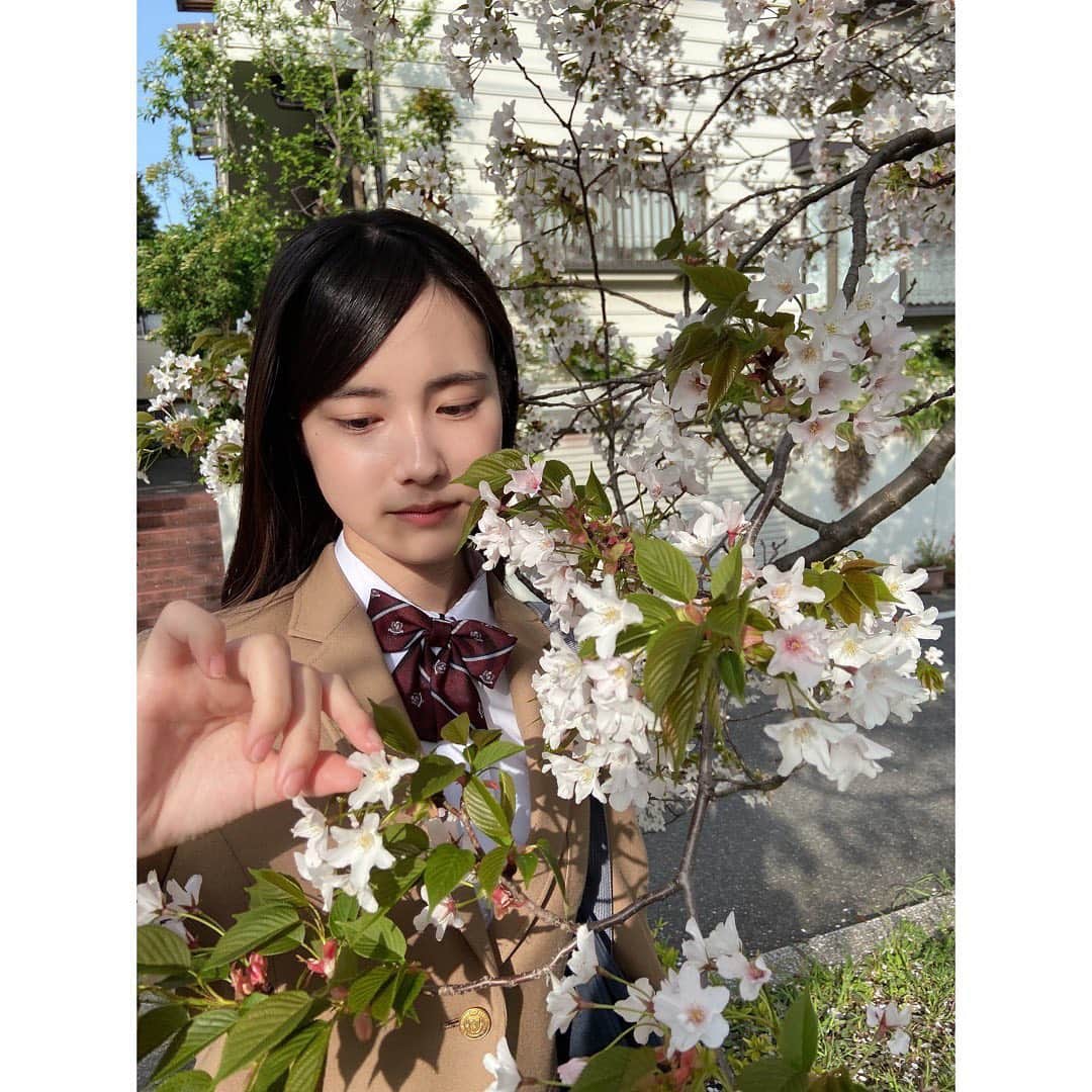 永田凜さんのインスタグラム写真 - (永田凜Instagram)「・ 5月〜🎏  お仕事で桜見に行った時のオフショです☺︎」5月2日 21時24分 - rin_nagata_official