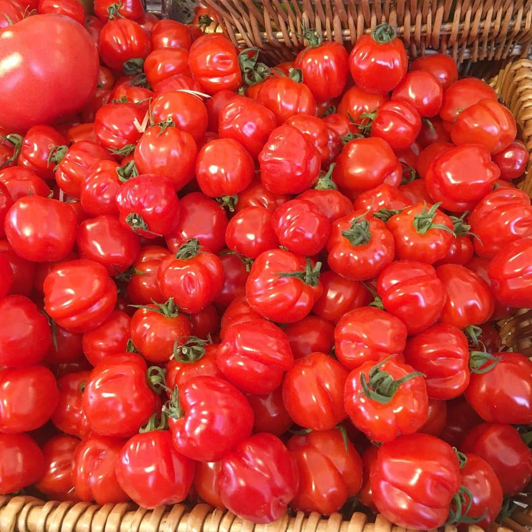 渡辺枝里子さんのインスタグラム写真 - (渡辺枝里子Instagram)「【Merinda Tomatoes👀🍅🇬🇧】  可愛いスーパーを見つけて入ってみたら  変わったトマトがあったのでシェア👀🍅✨  お店でのトマト表記はMARINDAになってるけれど、 調べたらMERINDAが正解っぽい🧐  見るからに固そうで甘くなさそうだったので購入をやめてみたものの…  身は固めで種の部分が少なく、 味が濃くて甘いくて美味しいらしい😲✨  産地がシチリア産と見て、美味しいことに納得。(イメージだけど😂)  次回買ってみよーっと♪  ちなみに店内はチーズやパスタなんかも売っていて、とても良かったのでこれからは通るたびに立ち寄っちゃいそうです😊😊 * * * * * #london #uk #supermarket  #merindatomatoes #londonfood #londonphotography  #ロンドン　#イギリス　#スーパーマーケット　#メリンダトマト #ロンドン日記　#海外　#海外生活　#ロンドンライフ　#渡辺枝里子」5月3日 6時43分 - eriko_watanabe_21