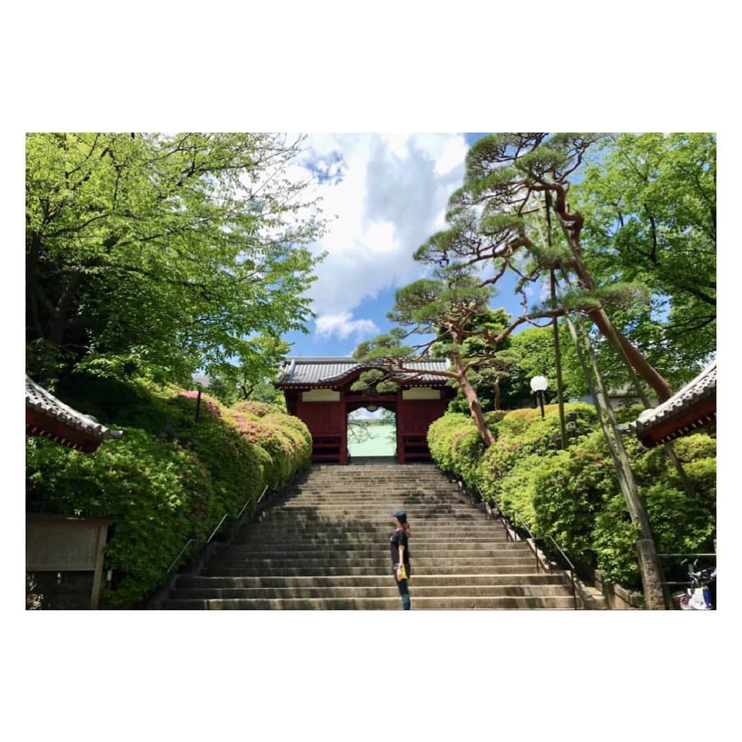大久保涼香さんのインスタグラム写真 - (大久保涼香Instagram)「Running feels refreshing🏃🏻‍♀️ ﻿  新緑の季節🍀 風も気持ちよくて﻿ ランニング日和だったなぁ。 ﻿ さっ。 お仕事の準備しなきゃ。 ****************************﻿ #freshgreenleaves #perfectforrunning #sunnyday #running #goodday #refreshing #keephealthy #havetogotowork  ﻿#ランニング #休みながら#護国寺 #新緑の季節 #きれい #仕事前の運動 #気持ちよかった #フリーアナウンサー」5月3日 17時09分 - sayaka_okubo