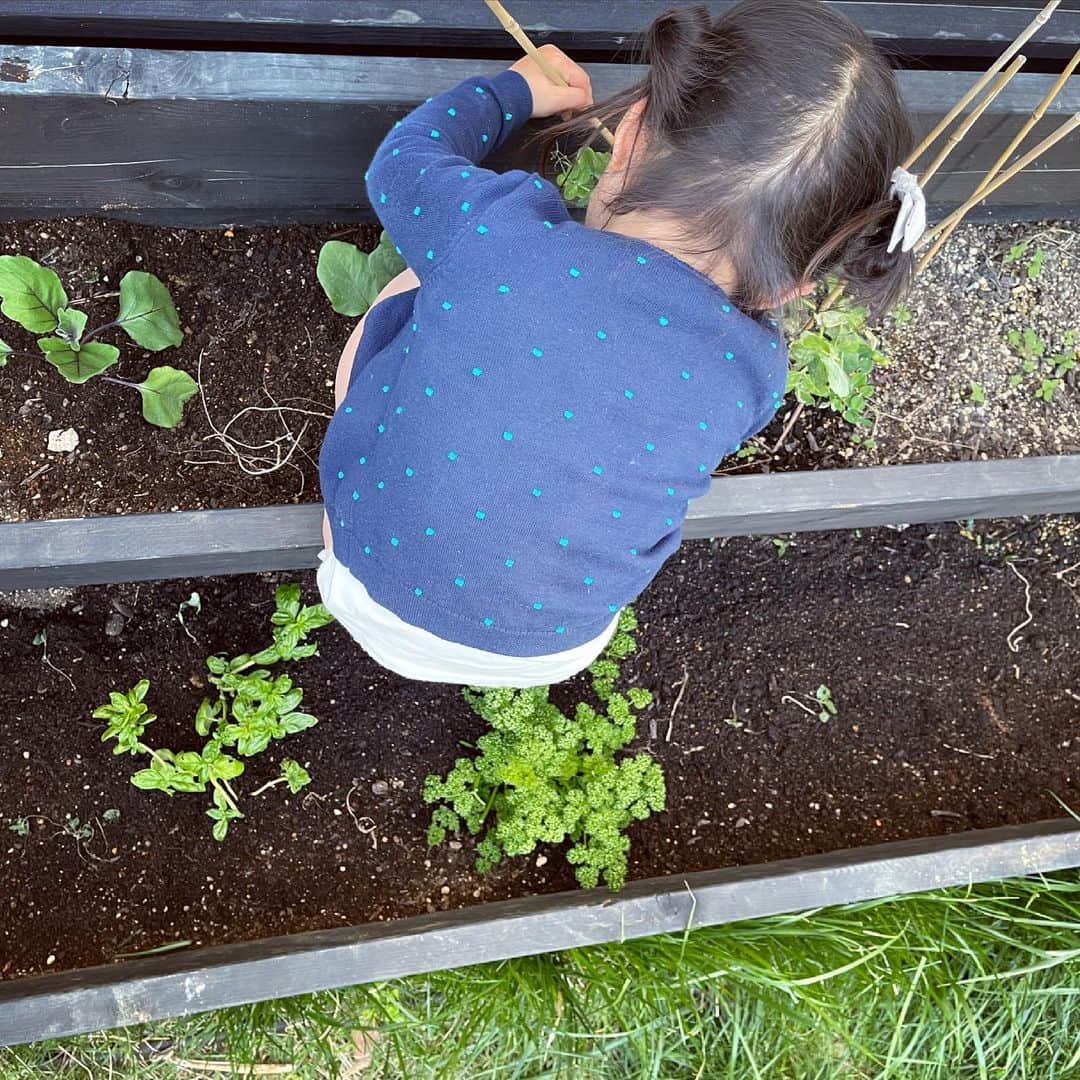 鈴木六夏さんのインスタグラム写真 - (鈴木六夏Instagram)「やっと菜園に興味出てきたのね☺️💕  と嬉しく微笑みながらよく見たら お豆の支柱、引っこ抜いてるやんけー😨💦  #やめてくれ」5月3日 18時27分 - rikuka.62