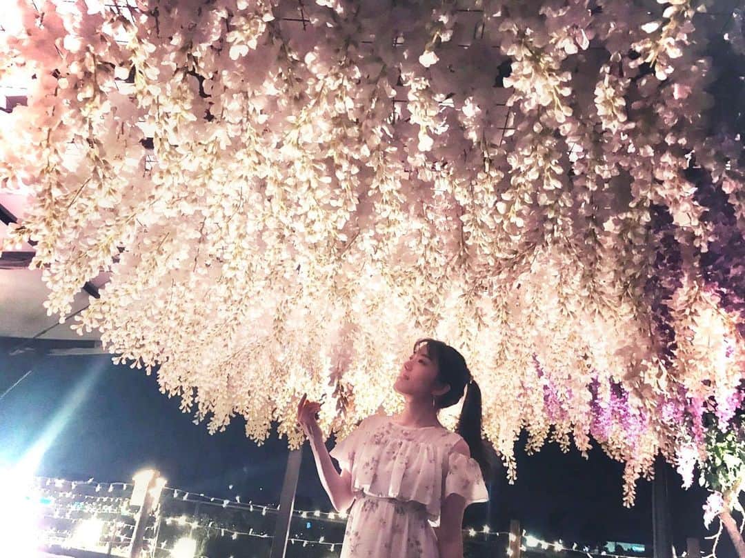 すずきあすかさんのインスタグラム写真 - (すずきあすかInstagram)「藤の花咲き乱れる頃🌸  #藤の花 #藤 #花 #flowers #flowerstagram #ポニーテール #ponytail #花束 #大井競馬場 #白ワンピ #夜景 #夜」5月3日 9時35分 - suzukiasukadesu