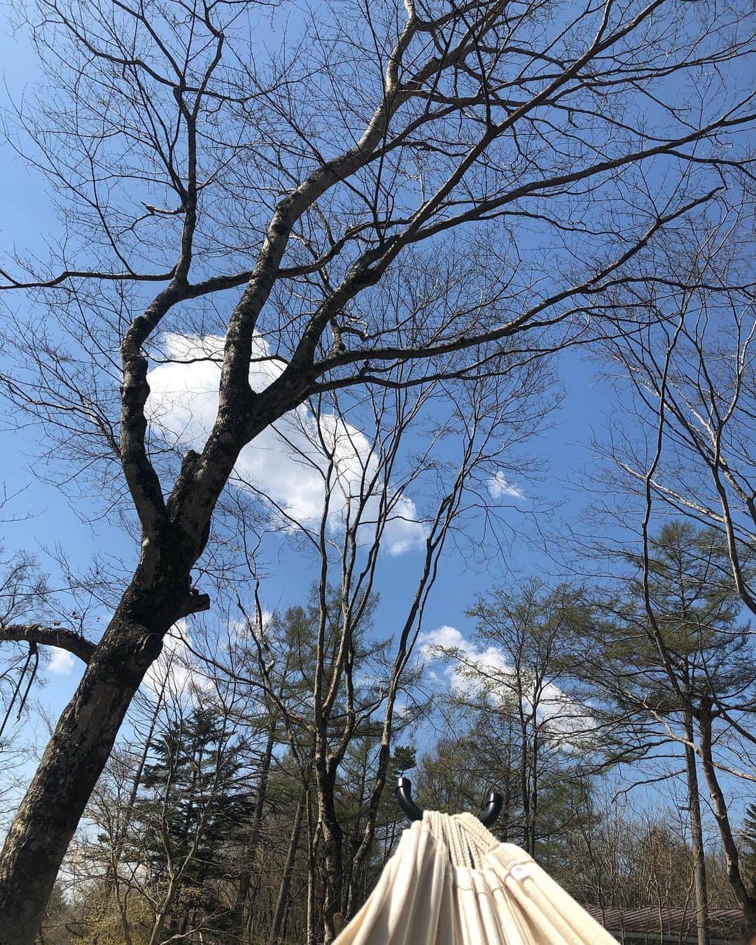 三浦瑠麗さんのインスタグラム写真 - (三浦瑠麗Instagram)「ハンモックのなかでうたたね。 青空を眺め、ちょうちょを目で追いかける。 鳥の囀りと、風の音。 お日様のぬくもりをゆらゆらと受け止める。」5月3日 11時04分 - lullymiura