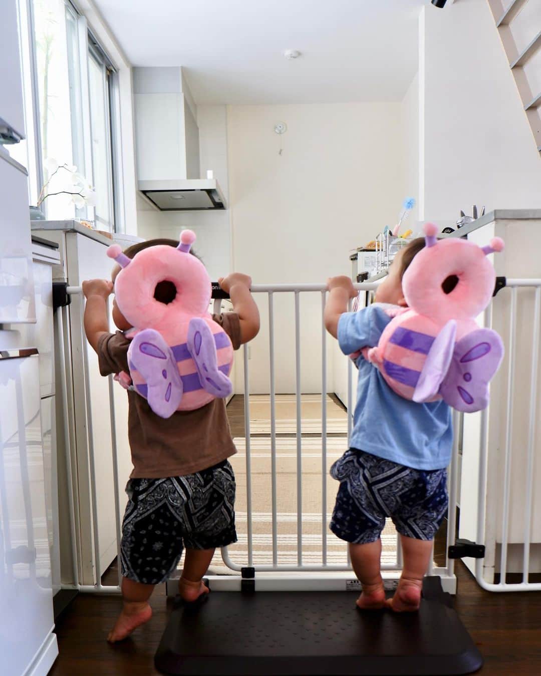 武智志穂さんのインスタグラム写真 - (武智志穂Instagram)「キッチンへの侵入を企む、いたずらっ子な虫さんたち😏  自分で歩くための訓練を日々熱心にしてはります🔥 転んで泣いても、まためげずに立ち上がる。 頑張れ頑張れ！  #二卵性双生児 #双子ママ #双子育児 #えいけんdiary #つかまり立ち #つたい歩き #世界一愛しい後ろ姿」5月3日 13時35分 - shiho_takechi