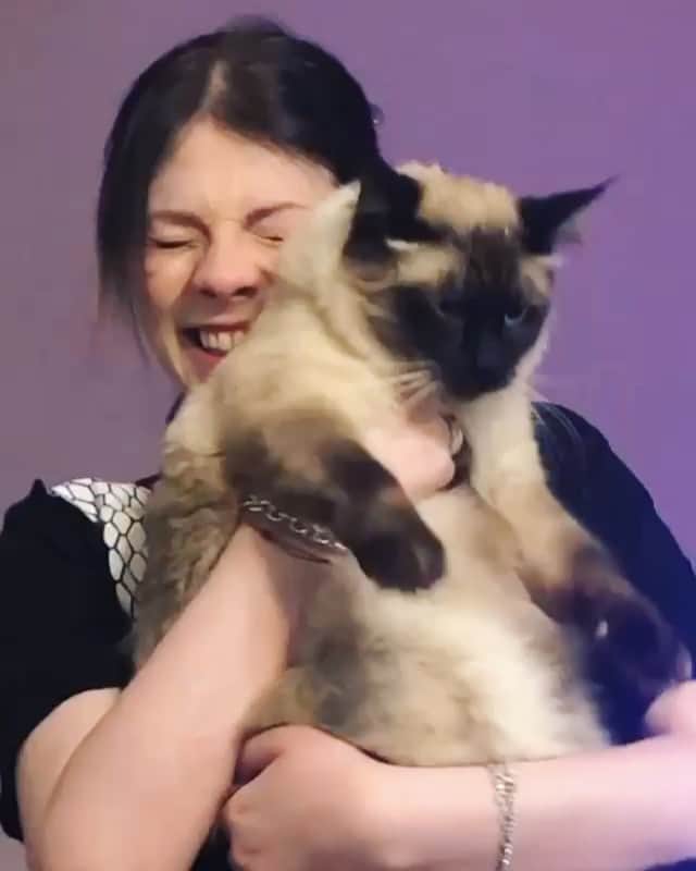 ミシェル・トラクテンバーグのインスタグラム：「Visiting some of my favorite kitties. This is Elton, he's a doll. Don't tell Mister Martini.  @lalalili9615 @lyndsay.dean @jaymcohen #cat 😻」