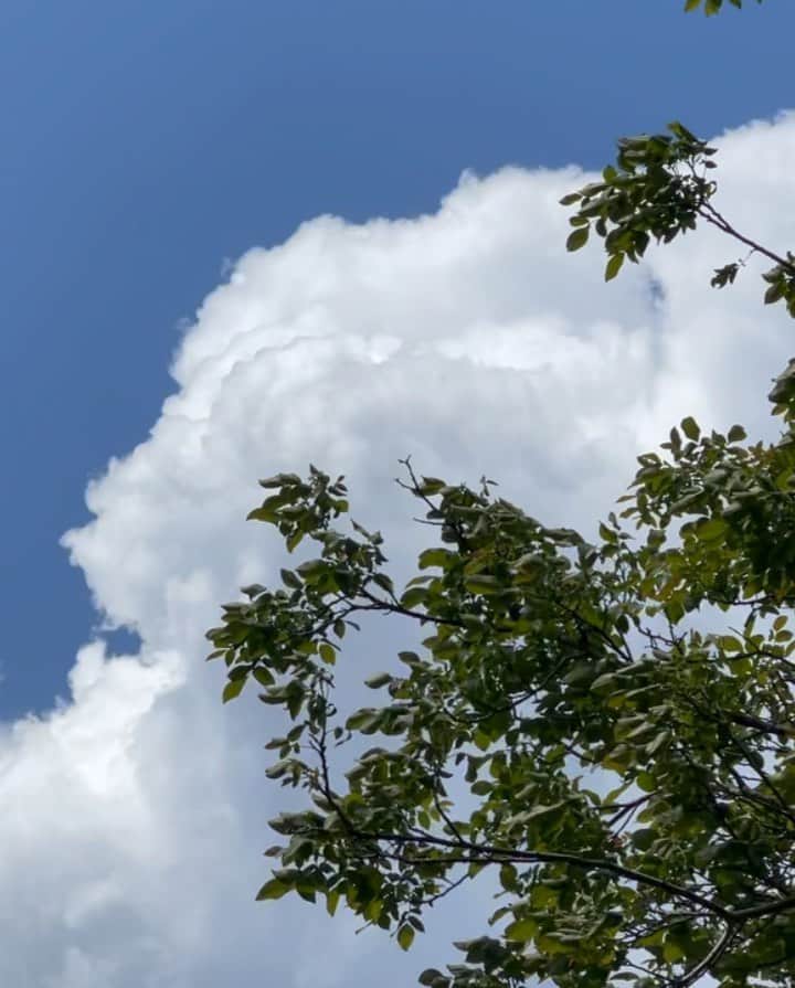 石川亜沙美のインスタグラム：「見上げた空 フワフワ雲☁️に 風の流れを感じて✨✨ ・ 今日の わたしの 小さな幸せ☺️❣️ ・　 ・ #2021.05.03 #青空 #雲 #bluesky  #nofilter  #tokyo」